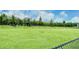 Community dog park with expansive lawn area, mature landscaping, and black chain-link fencing, providing secure and enjoyable space at 1919 Woodleaf Hammock Ct, Bradenton, FL 34211