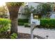Close up of a mailbox with the house number 3446 and surrounding landscaping at 3446 Anglin Dr, Sarasota, FL 34242