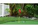 Close up of a putting green with a red flag, golf ball, and club at 3446 Anglin Dr, Sarasota, FL 34242