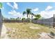 Large grassy backyard featuring a chainlink fence and mature palm tree for outdoor enjoyment at 4535 Maceachen Blvd, Sarasota, FL 34233