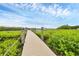 Scenic view of a well-maintained wooden dock extending into the water surrounded by green foliage at 4844 14Th E Ave, Bradenton, FL 34208