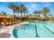 Community pool with several lounge chairs surrounding the pool and palm trees nearby at 5011 Tivoli Run, Bradenton, FL 34211