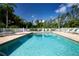 Beautiful outdoor pool with lounge chairs and umbrellas in a relaxing and tropical setting at 5330 Hyland Hills Ave # 2324, Sarasota, FL 34241