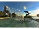 Whimsical dolphin fountain sculpture, capturing a fun and artistic element within the scenic outdoor space at 631 N Orange Ave # 208, Sarasota, FL 34236
