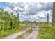 Driveway leading to a home through an ornate metal gate featuring tree designs at 7745 Wauchula Rd, Myakka City, FL 34251
