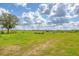 Expansive view of the land and open fields on the property at 7745 Wauchula Rd, Myakka City, FL 34251