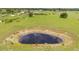 Aerial view of the property featuring a peaceful pond, nestled in a sprawling green pasture at 7745 Wauchula Rd, Myakka City, FL 34251