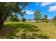 Picturesque backyard with mature trees and tranquil lake views, creating a peaceful retreat at 1035 Axlewood Cir, Brandon, FL 33511