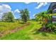View of the backyard showing the green lawn, some trees, and a glimpse of the beautiful blue sky at 17547 Cantarina Cv, Bradenton, FL 34211