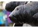 Charming close-up of a manatee statue, highlighting the attention to detail and artistic craftsmanship at 2105 19Th W St, Bradenton, FL 34205