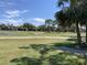 Breathtaking view of the golf course with palm trees and well-maintained greens at 3407 Avenida Madera # A, Bradenton, FL 34210