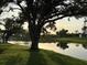 Picturesque backyard featuring a calm water view shaded by a large, mature tree and a beautiful green lawn at 387 Eden Dr Dr, Englewood, FL 34223