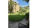 Backyard view of the condo with a green lawn and manicured shrubs, adding to the property's charm at 4037 Crockers Lake Blvd # 24, Sarasota, FL 34238