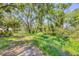Lush, partially shaded backyard with mature trees and thriving greenery at 4121 Reflections Pkwy, Sarasota, FL 34233
