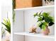 Close up of decor on shelves at 4253 Prairie View Dr, Sarasota, FL 34232