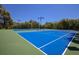 Outdoor tennis courts surrounded by trees offer residents an active lifestyle at 656 Vallance Ne Way, St Petersburg, FL 33716
