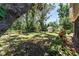 Spacious, private backyard with lush greenery and a storage shed at 712 68Th W Ave, Bradenton, FL 34207