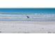 Scenic view of the beach with blue water and a gray heron wading in the surf at 2149 Muskogee Trl, Nokomis, FL 34275