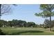 Players golfing on a green with flags, surrounded by manicured grass and trees under a clear sky at 2149 Muskogee Trl, Nokomis, FL 34275