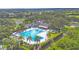 Aerial view of a community pool with lounge chairs, palm trees, and covered seating area surrounded by green landscaping at 2914 Dick Wilson Dr, Sarasota, FL 34240
