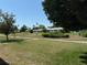 Landscaped community view featuring green spaces, mature trees and well maintained walkways at 3673 Somerville Dr # 1510, Sarasota, FL 34232