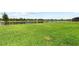 The spacious backyard has lush green grass, a black metal fence, and a tranquil view of the pond at 4430 Pond Brook Ct, Bradenton, FL 34211