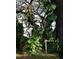 Lush backyard with mature trees and foliage, providing a private outdoor space at 5439 3Rd E St, Bradenton, FL 34203