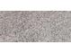 Close up of grey carpeting at 7113 Park Tree Dr, Tampa, FL 33625