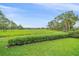 Well-manicured backyard featuring lush green grass and mature trees, offering a serene outdoor space at 7507 Ascot Ct, Bradenton, FL 34201