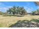 Expansive green lawn adorned with mature trees and full perimeter fencing at 12714 Tyler Run Ave, Odessa, FL 33556