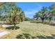 Spacious backyard with lush green grass, mature palm trees, and wooden perimeter fencing at 12714 Tyler Run Ave, Odessa, FL 33556