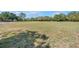 Expansive view of the open field, with trees and blue sky, offering privacy and natural beauty at 12714 Tyler Run Ave, Odessa, FL 33556