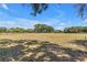 Expansive grassy field with distant trees under a blue sky, perfect for recreational activities at 12714 Tyler Run Ave, Odessa, FL 33556