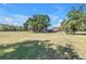 Wide shot of a sprawling field with trees, lush green grass, and a house in the distance at 12714 Tyler Run Ave, Odessa, FL 33556