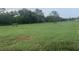Expansive pasture with grazing horses, perfect for equestrian enthusiasts and a serene country lifestyle at 12714 Tyler Run Ave, Odessa, FL 33556