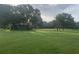 Expansive lawn and mature trees create a serene, park-like setting surrounding the house at 12714 Tyler Run Ave, Odessa, FL 33556