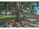Shaded backyard area under a large tree with chairs and landscaping at 16918 Waterline Rd, Bradenton, FL 34212