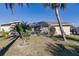 Expansive backyard featuring a screened-in patio, lush lawn, and mature landscaping with tropical trees at 3835 W Price Blvd, North Port, FL 34286
