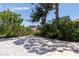 Landscaped backyard with unique white gravel ground cover and mature trees at 417 Park Lane Dr, Venice, FL 34285