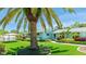 Beautifully landscaped front yard with a well-maintained lawn, palm trees, and vibrant greenery at 5238 Susan Ave, Sarasota, FL 34231