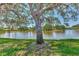 Picturesque pond view framed by a majestic oak tree draped with Spanish moss at 5651 Golf Pointe Dr # 5651, Sarasota, FL 34243