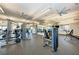 Fully equipped fitness center featuring various workout machines and free weights for a comprehensive exercise routine at 5735 Bungalow Grove Ct, Palmetto, FL 34221