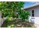 Backyard featuring a mango tree, well-maintained lawn, and a view of the home's exterior at 6113 55Th E Ter, Bradenton, FL 34203