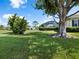 Lush backyard with a large tree and well-manicured lawn at 6643 Butlers Crest Dr, Bradenton, FL 34203