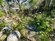 Backyard view of a serene pond with lush greenery and decorative statuary at 1019 10Th W Ave, Bradenton, FL 34205