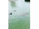Water view showcases manatees in the canal at 104 Pops Ln, Nokomis, FL 34275