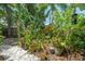 Lush backyard featuring a bird feeder, cacti, flowering plants, and tropical foliage for a serene outdoor experience at 2630 Bucida Dr, Sarasota, FL 34232