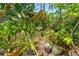 Backyard features various plants, a birdbath and yellow painted shed at 2630 Bucida Dr, Sarasota, FL 34232