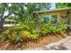 Beautiful home surrounded by lush tropical plants and a well-manicured garden at 2630 Bucida Dr, Sarasota, FL 34232