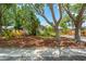 Well-maintained front yard features mature trees, lush landscaping, and a cozy home at 2630 Bucida Dr, Sarasota, FL 34232